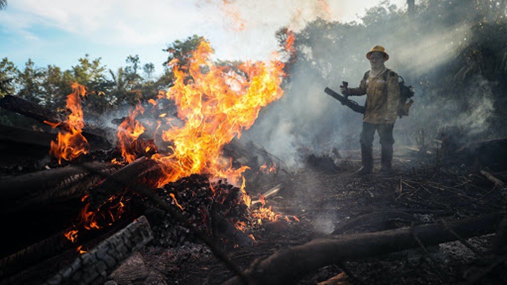 A Amazônia teve seu pior junho em 13 anos devido a incêndios florestais. A ameaça se torna realidade