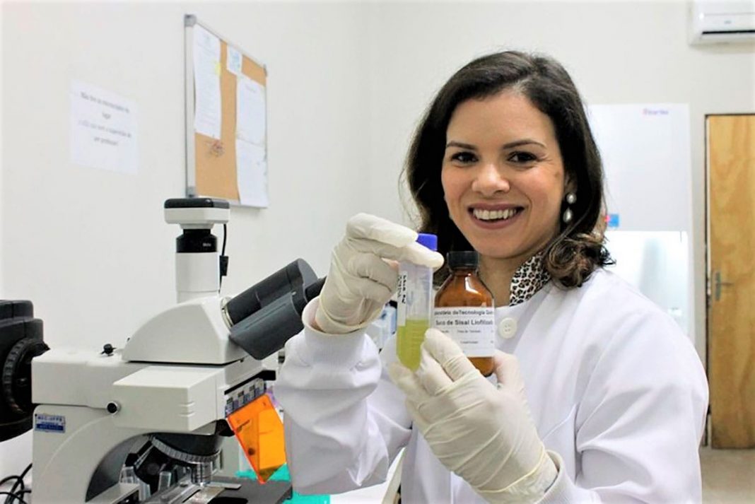 Pesquisadora brasileira criou inseticida natural que mata o mosquito da dengue