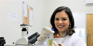 Pesquisadora brasileira criou inseticida natural que mata o mosquito da dengue