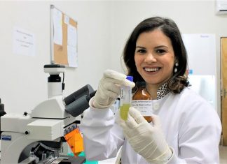 Pesquisadora brasileira criou inseticida natural que mata o mosquito da dengue