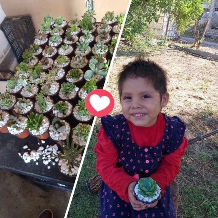 sensivel-mente.com - Uma menina de 3 anos vende plantas para pagar seu tratamento de leucemia. Cada venda é uma alegria