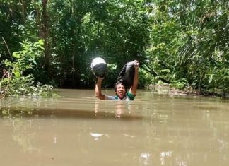 Professor caminha 30 Km e atravessa riacho com água pelo pescoço para imprimir material didático dos alunos indígenas em Roraima.