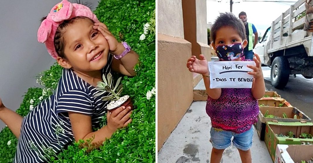 Uma menina de 3 anos vende plantas para pagar seu tratamento de leucemia. Cada venda é uma alegria