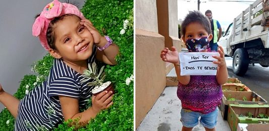 Uma menina de 3 anos vende plantas para pagar seu tratamento de leucemia. Cada venda é uma alegria