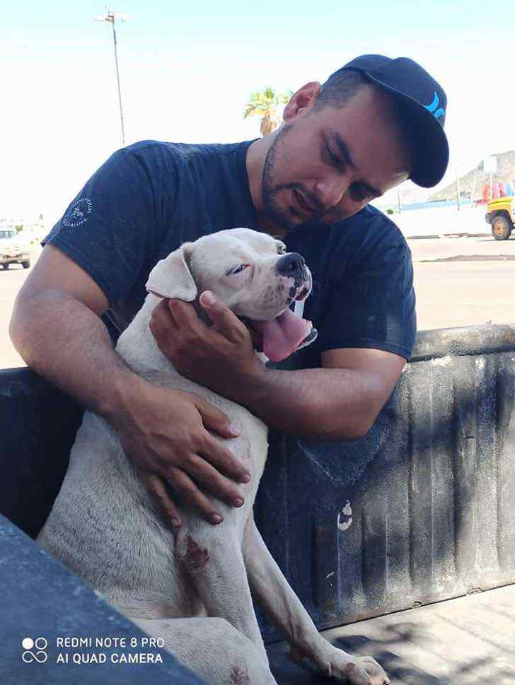 sensivel-mente.com - Ele levou seu cachorrinho doente para uma última caminhada antes de seu descanso eterno. Juntos até o final