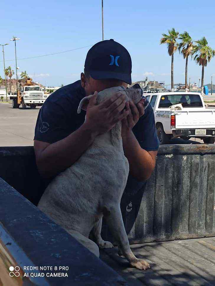 sensivel-mente.com - Ele levou seu cachorrinho doente para uma última caminhada antes de seu descanso eterno. Juntos até o final