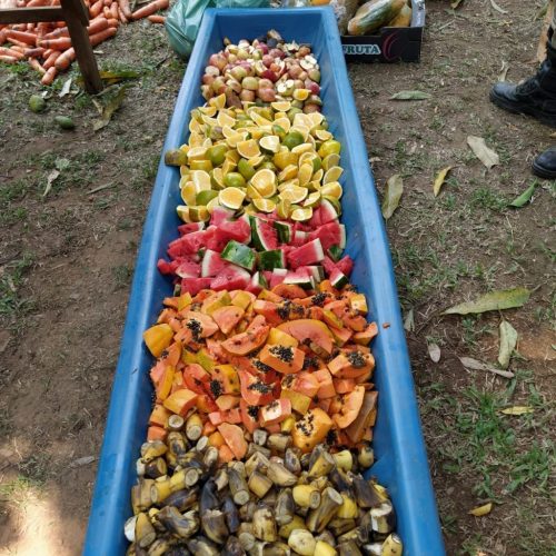 sensivel-mente.com - Voluntários levam 400 kg de frutas e verduras para alimentar animais famintos no Pantanal