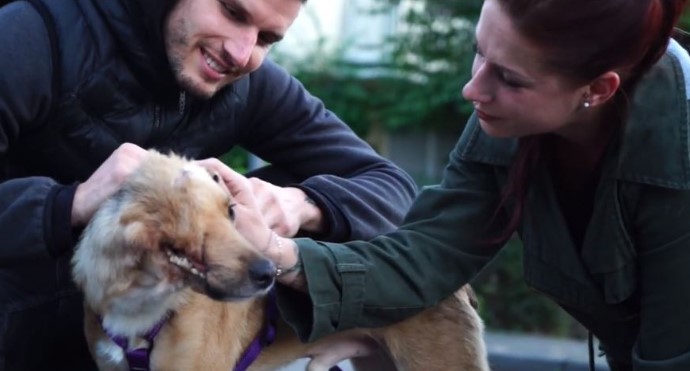 Cachorrinho que perdeu parte do rosto, ganhou uma nova chance de ser Feliz 2 7 - Cachorrinho que perdeu parte do rosto, ganhou uma nova chance de ser Feliz