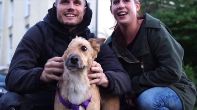 Cachorrinho que perdeu parte do rosto, ganhou uma nova chance de ser Feliz 3 7 - Cachorrinho que perdeu parte do rosto, ganhou uma nova chance de ser Feliz