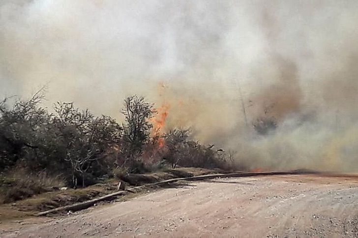 sensivel-mente.com - Lorenzo gasta suas economias para ajudar bombeiros de Córdoba.