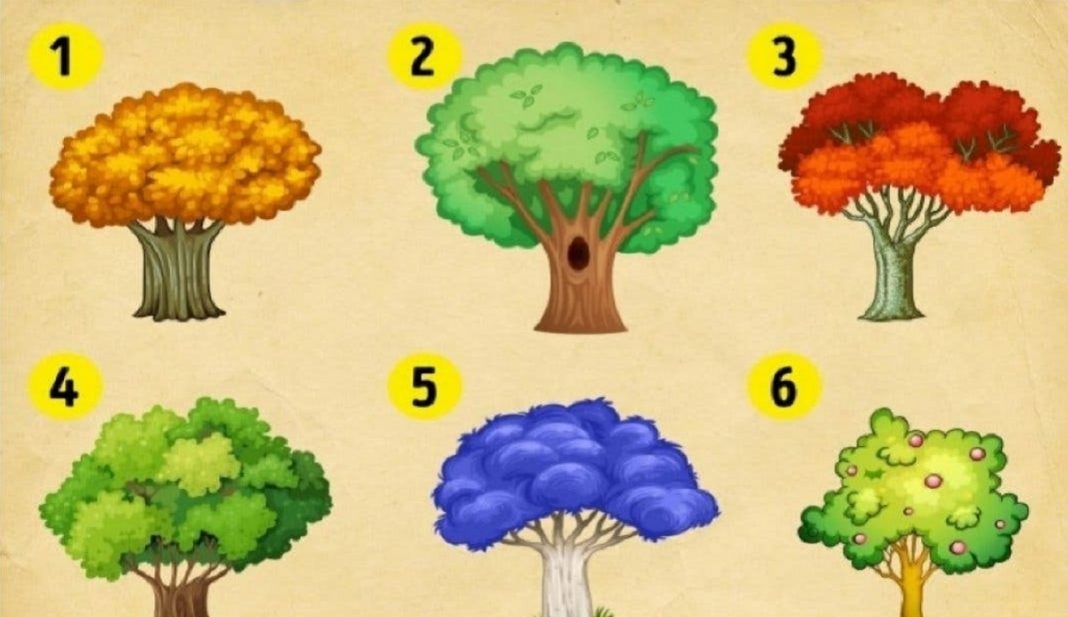 Escolha uma árvore e descubra as mudanças que você deve esperar