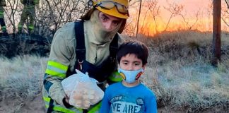 Lorenzo gasta suas economias para ajudar bombeiros de Córdoba.