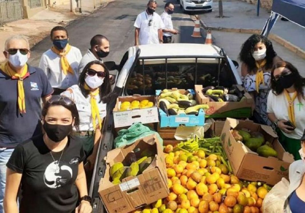 Voluntários levam 400 kg de frutas e verduras para alimentar animais famintos no Pantanal