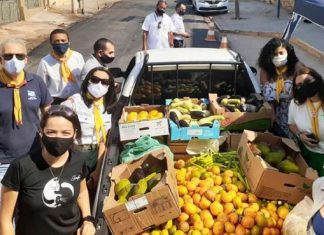Voluntários levam 400 kg de frutas e verduras para alimentar animais famintos no Pantanal