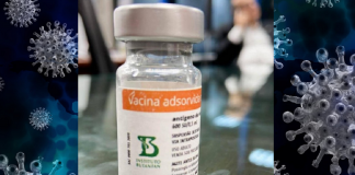 ANVISA autoriza importação de 6 milhões de doses da vacina contra a Covid-19  “CoronaVac”