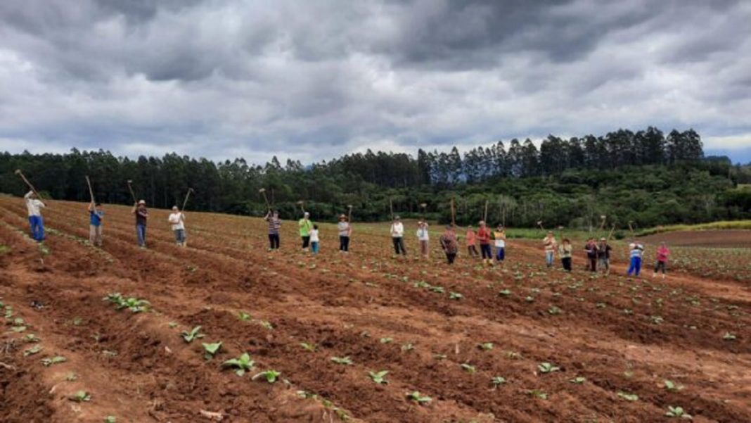 Vizinhos e amigos se juntam para cuidar da lavoura de produtor internado com a Covid-19