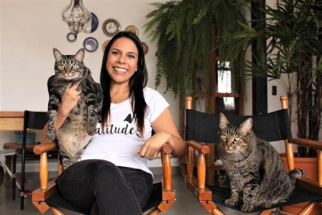 Publicitária abandona seu emprego “chato” e abre seu negócio dos sonhos: ser babá de gatos