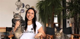 Publicitária abandona seu emprego “chato” e abre seu negócio dos sonhos: ser babá de gatos