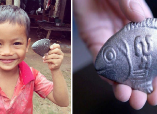 Este peixinho de ferro está salvando a vida de milhares de crianças