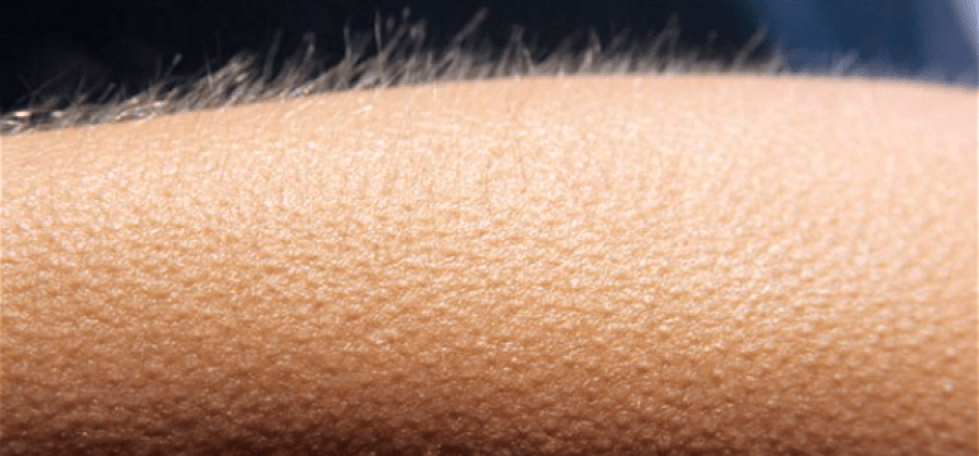 Pesquisadores Franceses descobriram que ao ouvir sua música preferida acontece algo impressionante em seu cérebro. arrepio - Pesquisadores Franceses descobriram que ao ouvir sua música preferida acontece algo impressionante em seu cérebro.