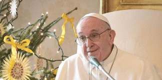 Papa Francisco: nunca deixem de agradecer