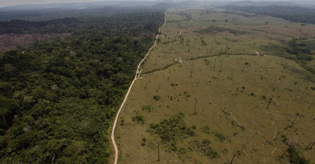 sensivel-mente.com - A Amazônia brasileira perdeu cerca de 626 milhões de árvores.