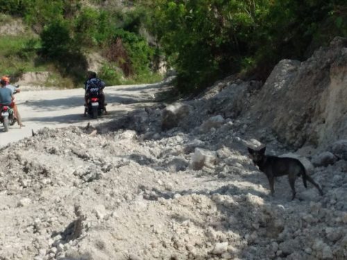 sensivel-mente.com - Cachorro late “avisando” e motociclista salva um bebê abandonado próximo ao lixão