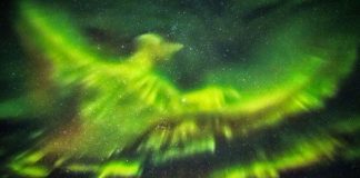 Aurora boreal se parece com uma fênix na Islândia