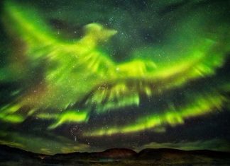 Aurora boreal se parece com uma fênix na Islândia