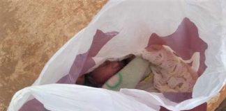 Mulher encontra bebê abandonado dentro de sacola e decide adotá-lo. Este bebê merece ter uma mãe que o ama!