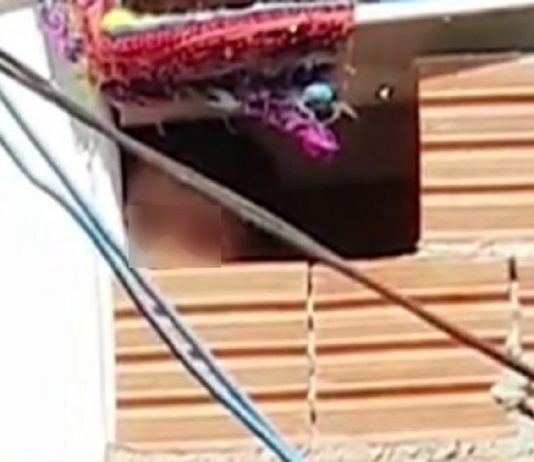 Os tios do menino resgatado do tonel lutarão pela guarda do sobrinho (Vídeo)