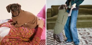 A Zara lança sua primeira coleção de roupas exclusivas para cães. Eles também serão ícones da moda