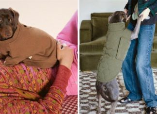 A Zara lança sua primeira coleção de roupas exclusivas para cães. Eles também serão ícones da moda