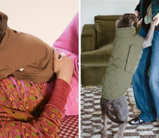 A Zara lança sua primeira coleção de roupas exclusivas para cães. Eles também serão ícones da moda