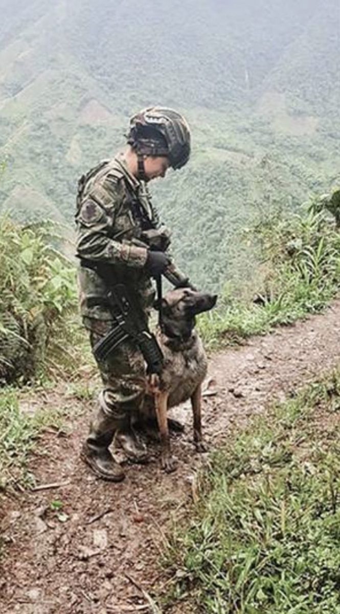 sensivel-mente.com - Pela primeira vez, uma mulher comanda as tropas do exército colombiano na selva. É a senhora de ferro!