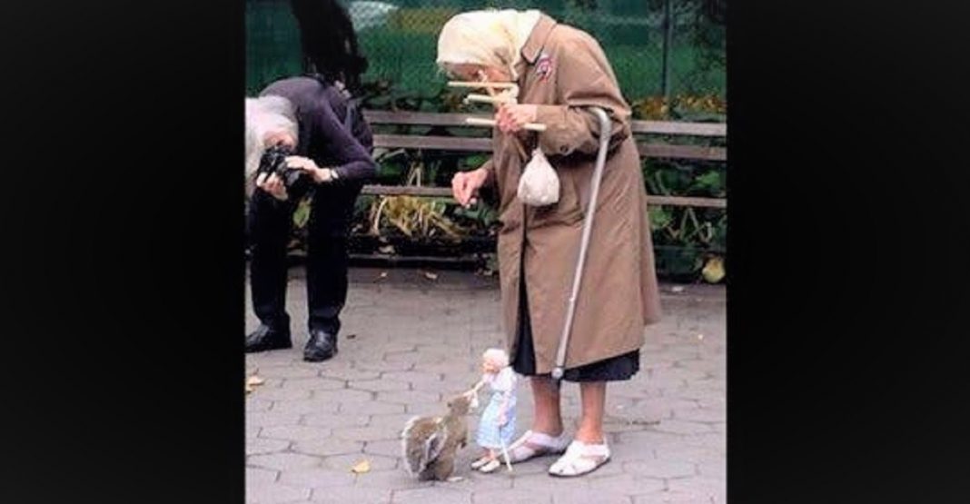 Idosa alimenta esquilos com marionete igual a ela. Para aquecer o coração!