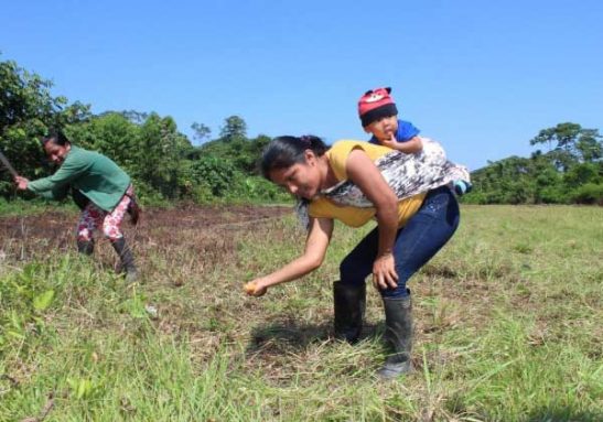 sensivel-mente.com - Mulheres indígenas plantaram 150 mil árvores na Amazônia