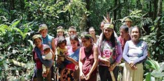 Mulheres indígenas plantaram 150 mil árvores na Amazônia