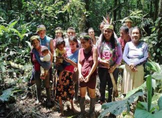 Mulheres indígenas plantaram 150 mil árvores na Amazônia