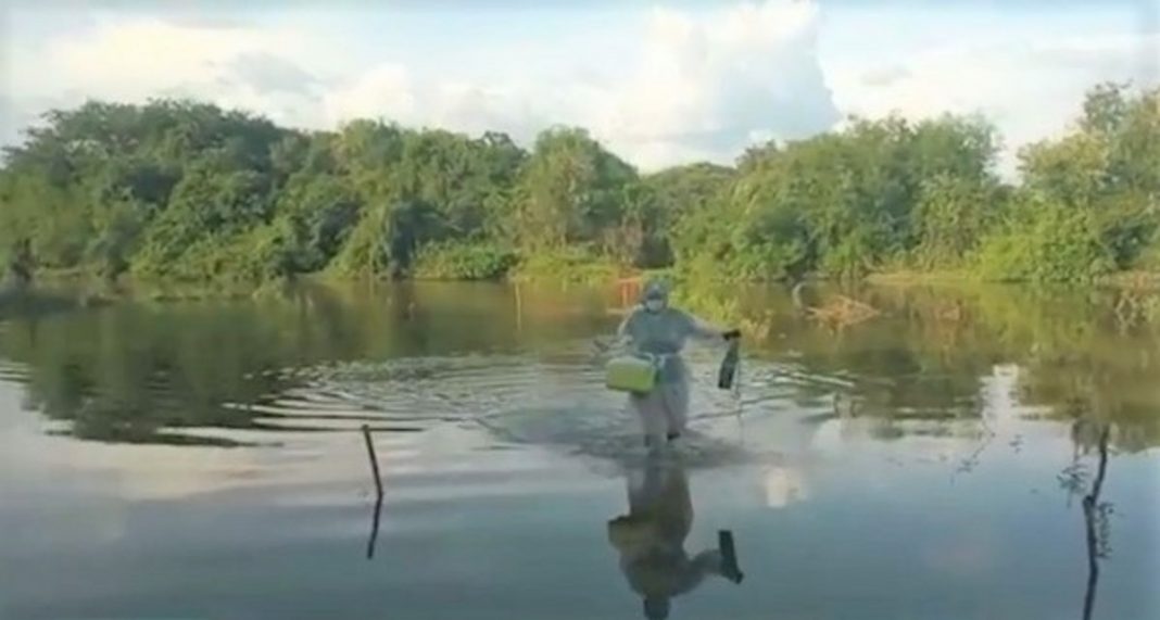 Enfermeira atravessou um rio andando para levar vacina a uma idosa.Exemplos que nos dão esperança!