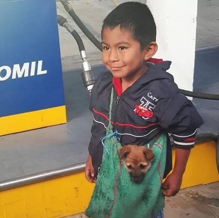 sensivel-mente.com - Imagem de menino humilde que é ambulante e leva seu cachorrinho numa bolsa emociona os internautas