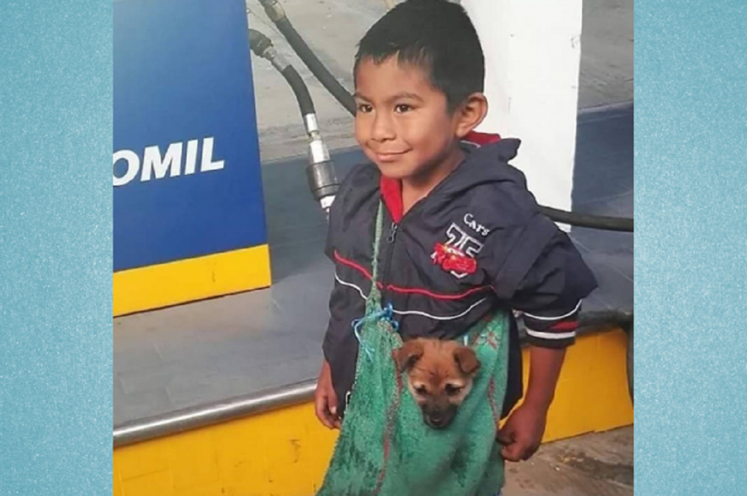 Imagem de menino humilde que é ambulante e leva seu cachorrinho numa bolsa emociona os internautas