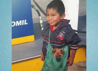 Imagem de menino humilde que é ambulante e leva seu cachorrinho numa bolsa emociona os internautas