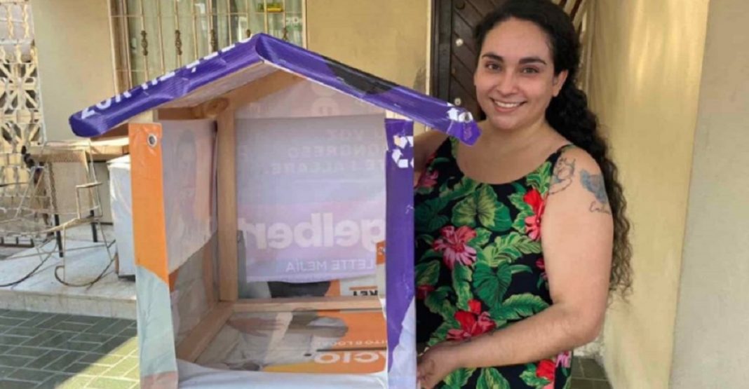Mulher recicla lixo eleitoral e o transforma em casa para cães abandonados. Ela tem ajudado por 13 anos