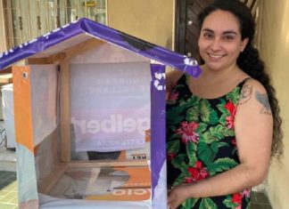 Mulher recicla lixo eleitoral e o transforma em casa para cães abandonados. Ela tem ajudado por 13 anos