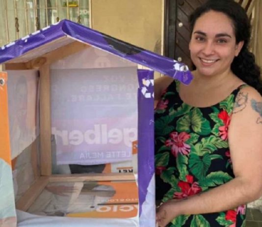 Mulher recicla lixo eleitoral e o transforma em casa para cães abandonados. Ela tem ajudado por 13 anos