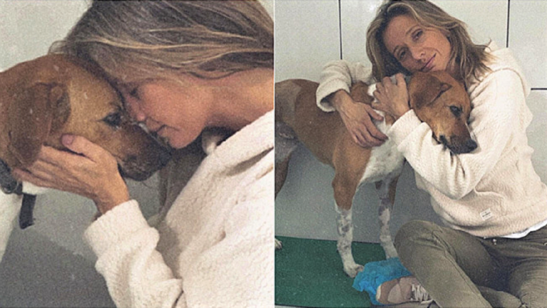 Luisa Mell acolhe cachorra rejeitada por não ter uma das patas