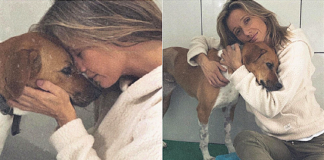 Luisa Mell acolhe cachorra rejeitada por não ter uma das patas