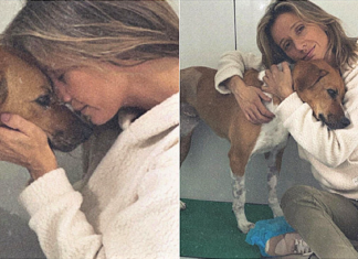 Luisa Mell acolhe cachorra rejeitada por não ter uma das patas