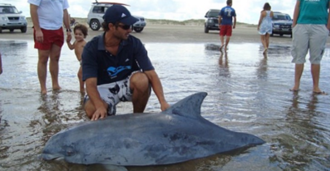 Biólogo brasileiro recebe o “Oscar Verde” por seu trabalho com botos ameaçados de extinção.